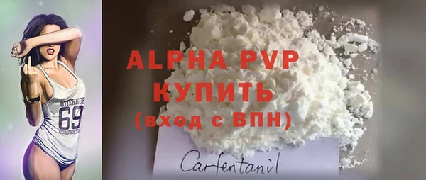 крисы Липки