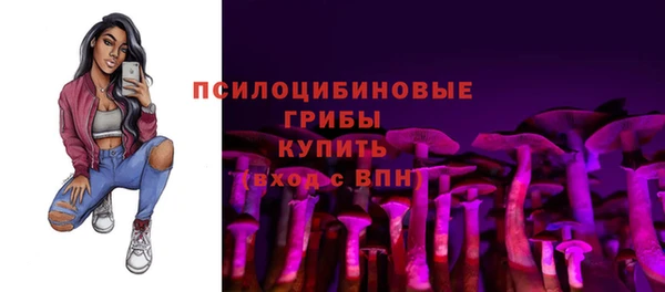 крисы Липки