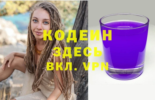 индика Магас
