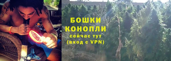 крисы Липки