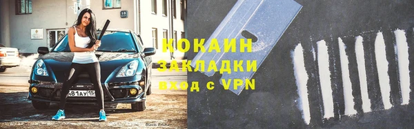 индика Магас