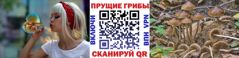 закладки  Красноуральск  MEGA ONION  Галлюциногенные грибы ЛСД 